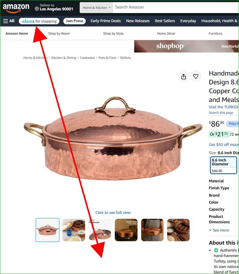 The position of Amazon AI or Alexa at the top of the image